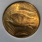 Flying eagle